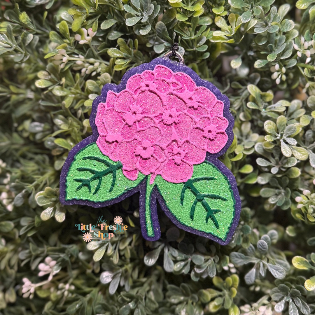 Hydrangea Freshie