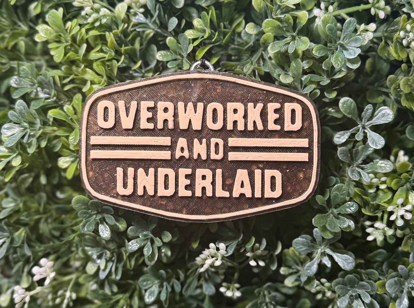 Overworked and Underlaid Freshie