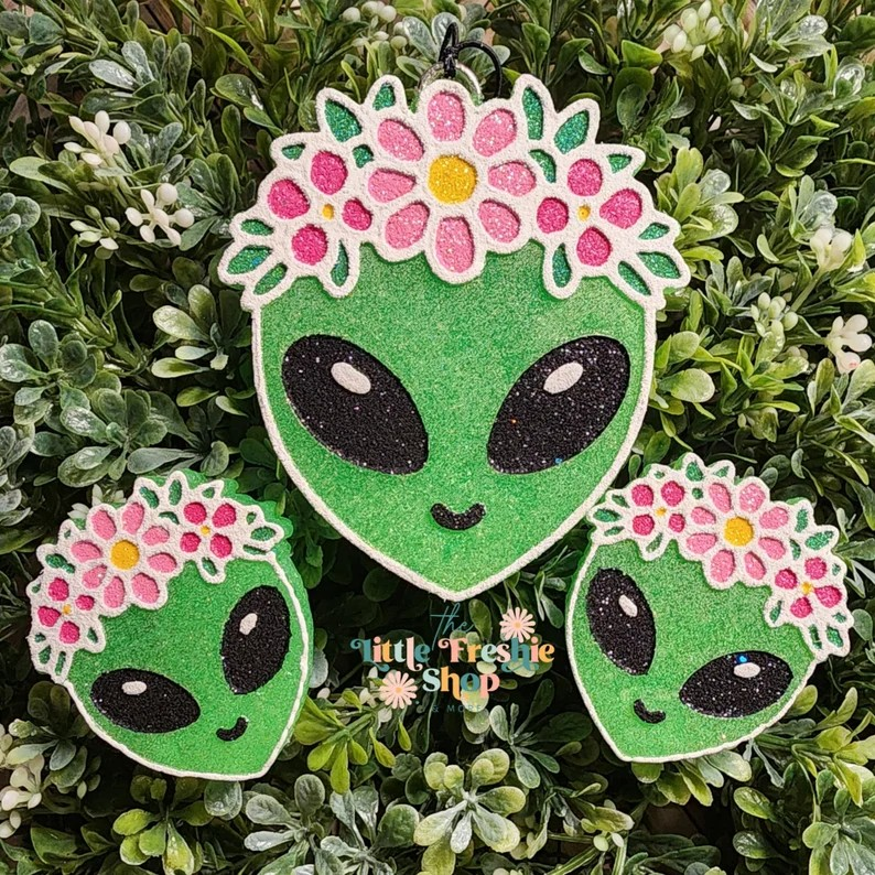 Alien Freshie, Alien Freshy
