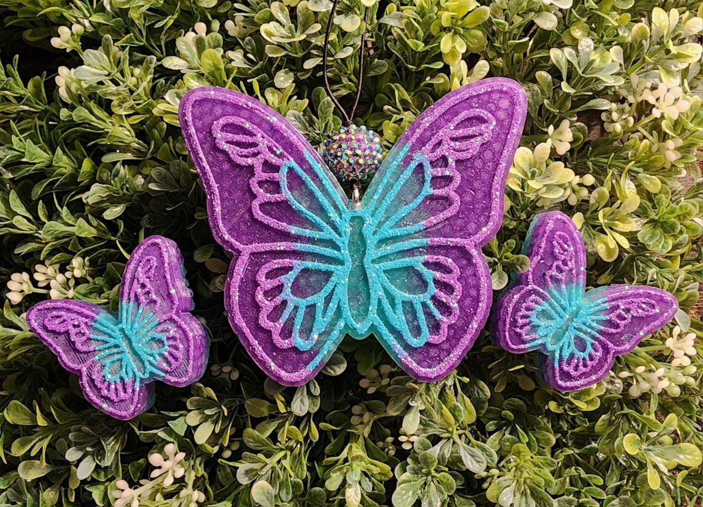 Butterfly Freshies, Butterfly Freshy