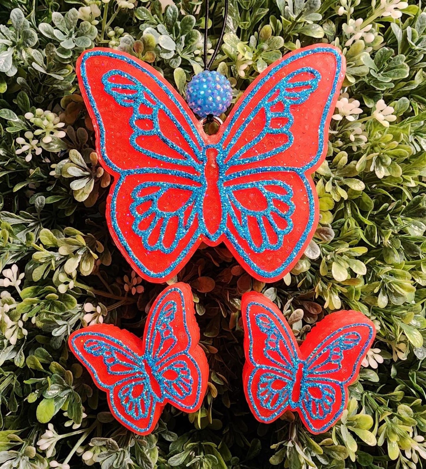 Butterfly Freshies, Butterfly Freshy