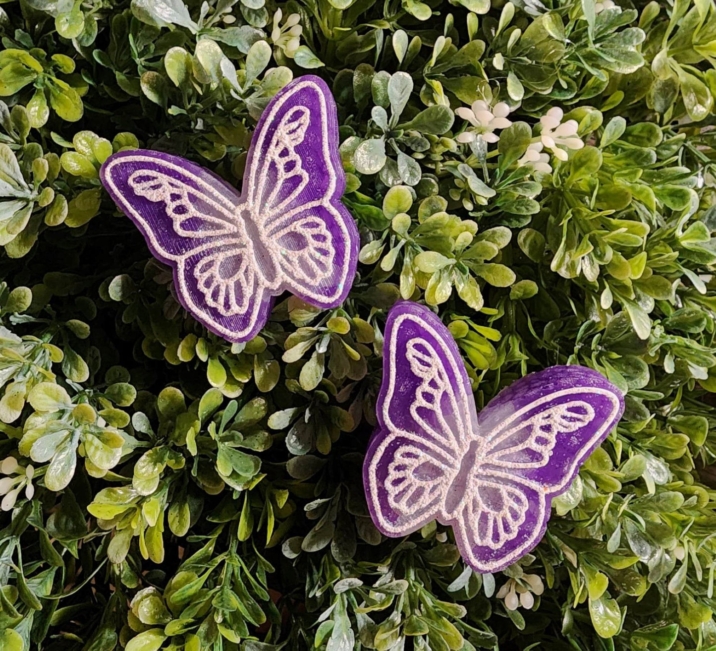 Butterfly Freshies, Butterfly Freshy