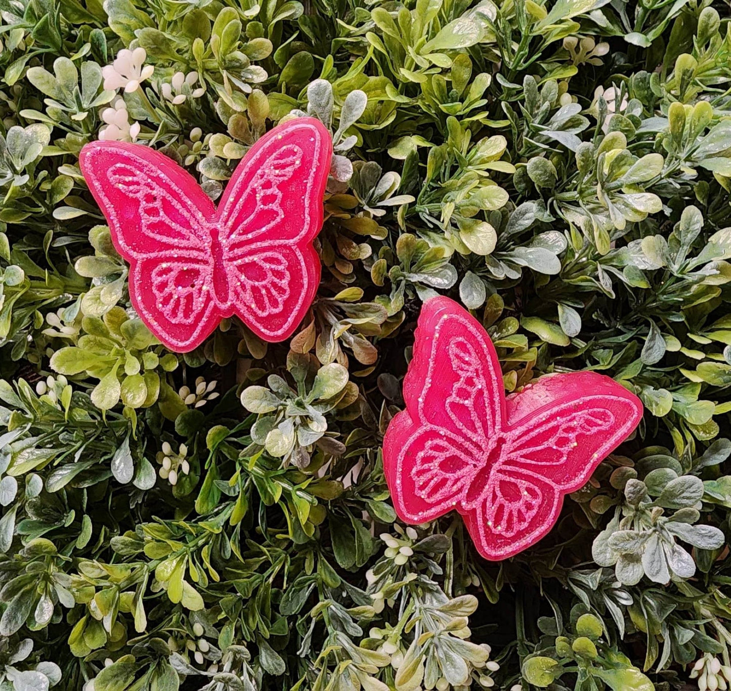 Butterfly Freshies, Butterfly Freshy