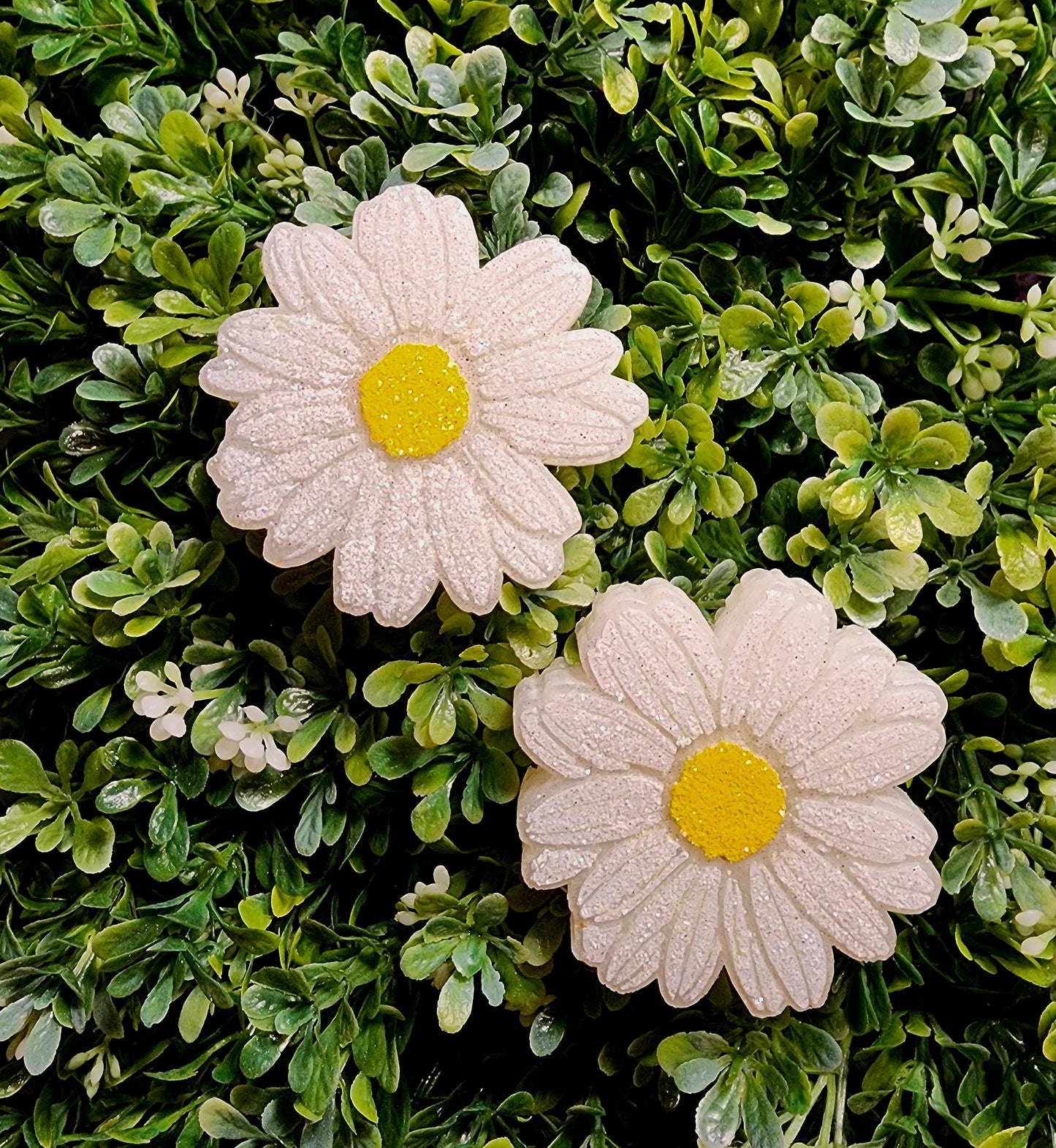 Daisy Lovers Freshie