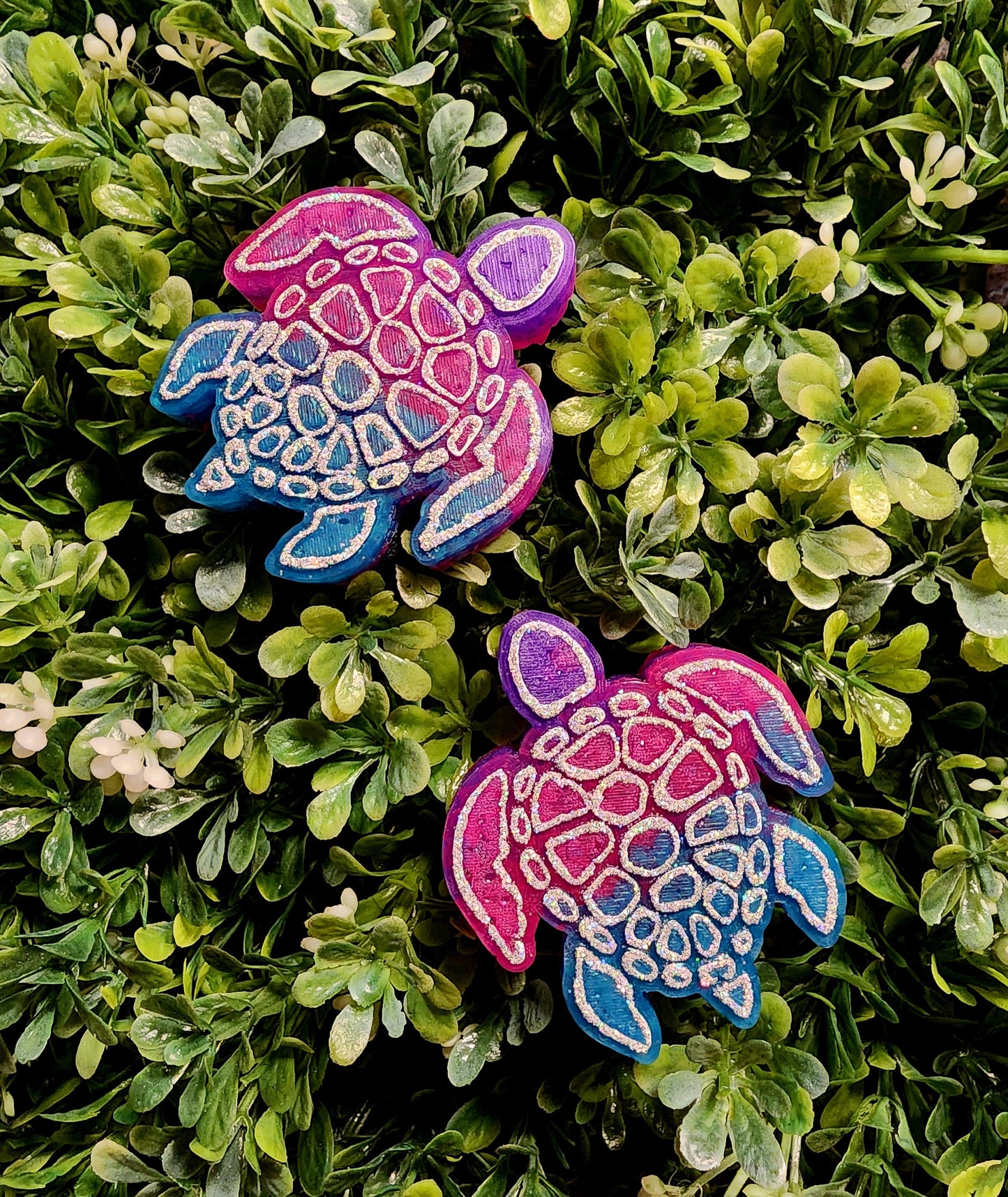 Sea Turtle Freshie