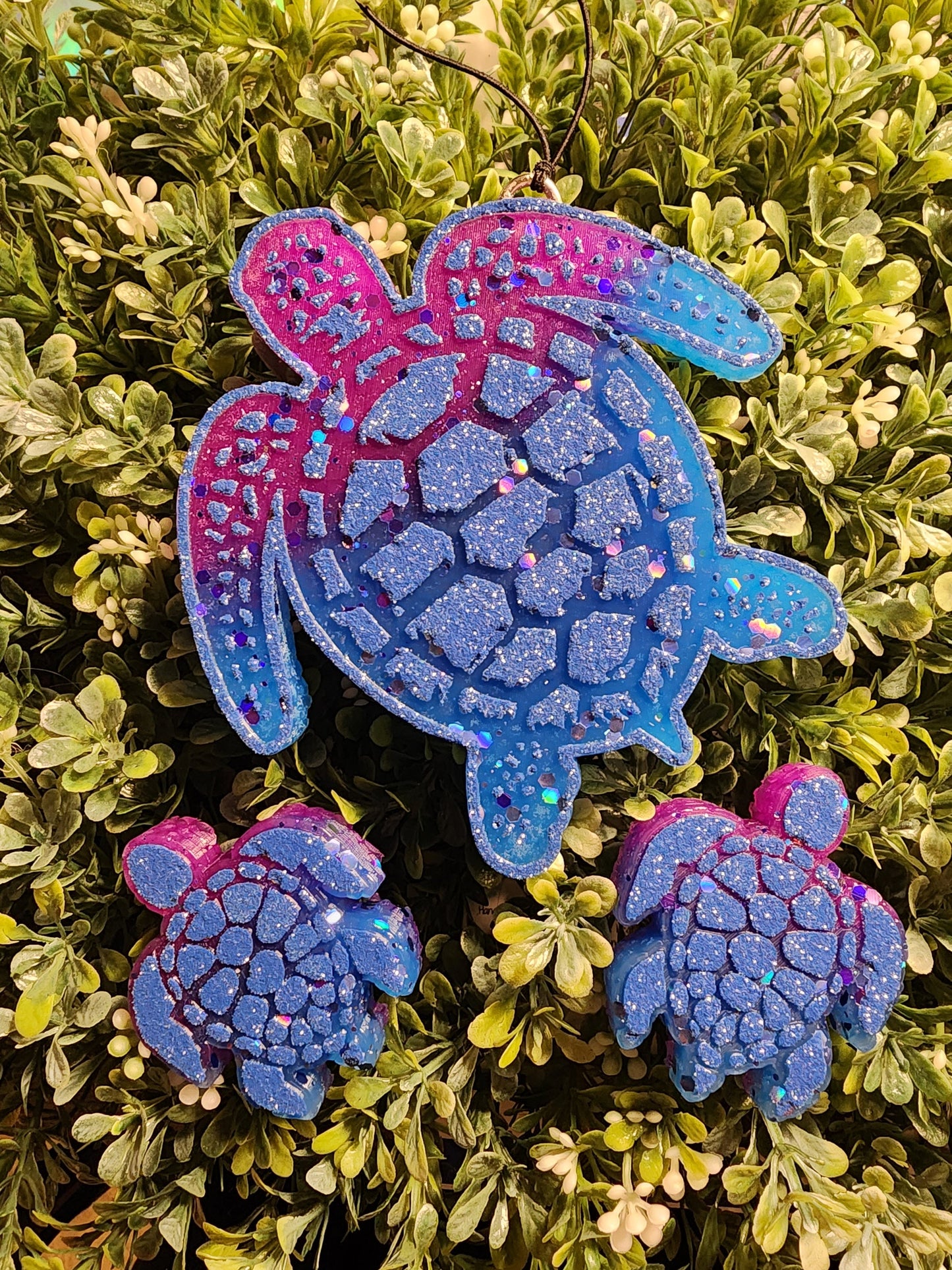 Sea Turtle Freshie