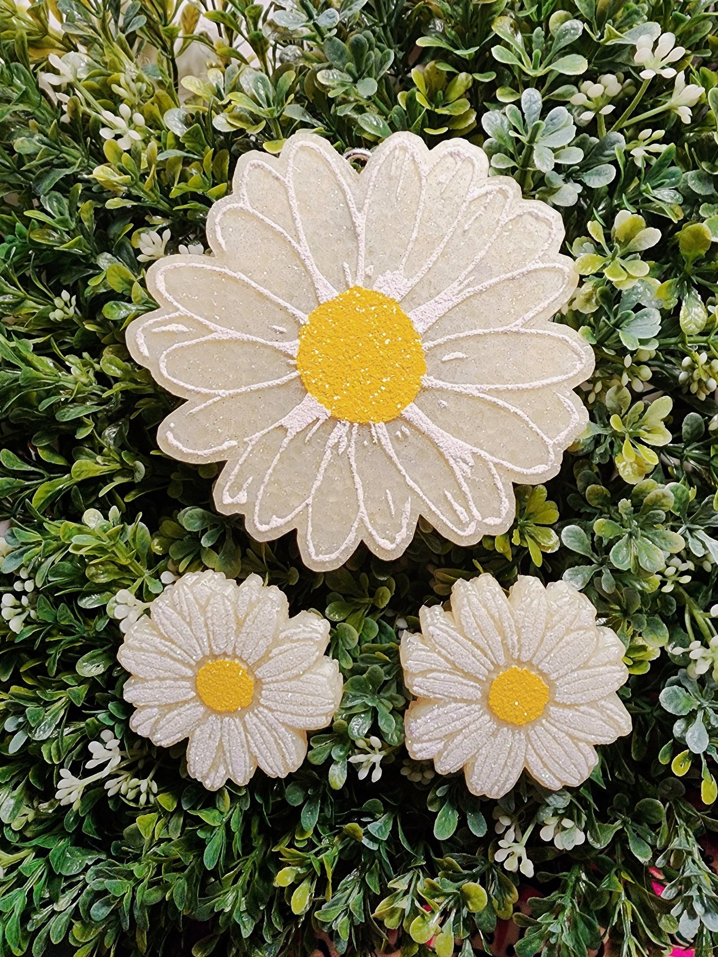 Daisy Lovers Freshie