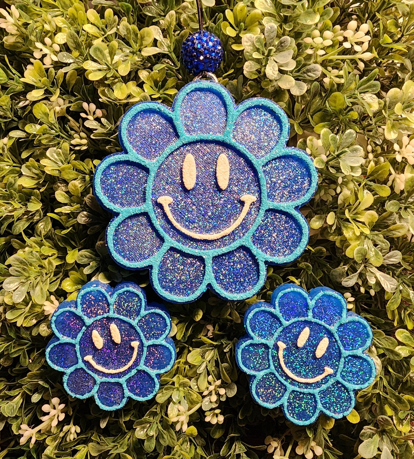Smiley Daisy Freshie, Smiley Daisy Freshy