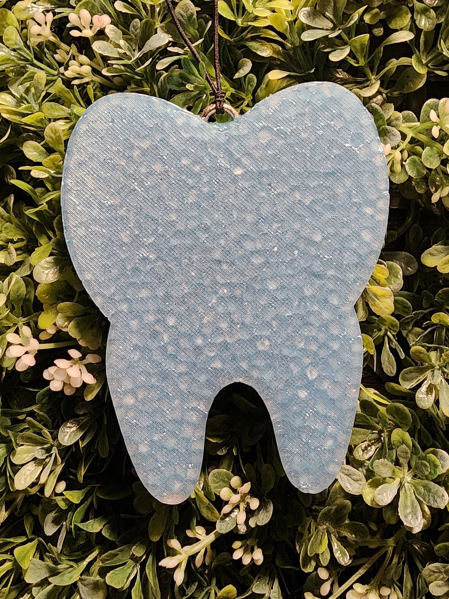 Tooth Freshie, Tooth Freshy