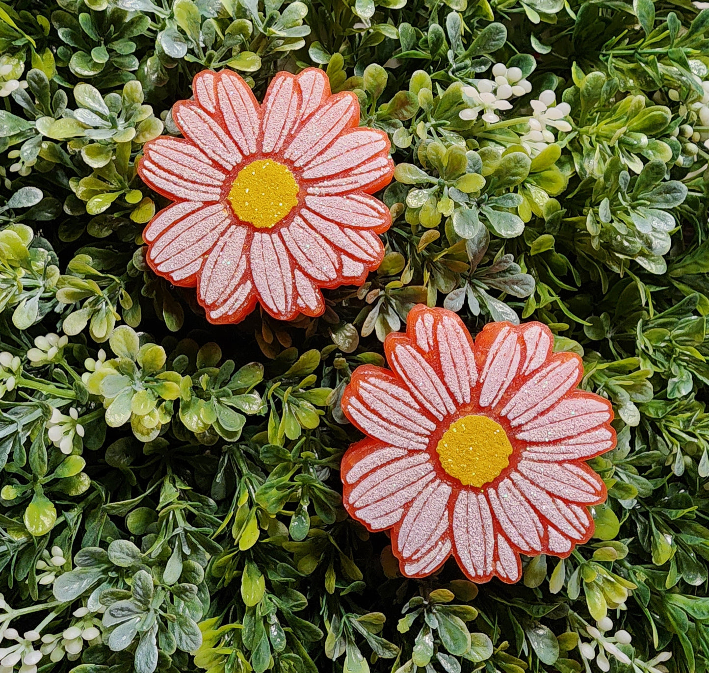 Daisy Lovers Freshie