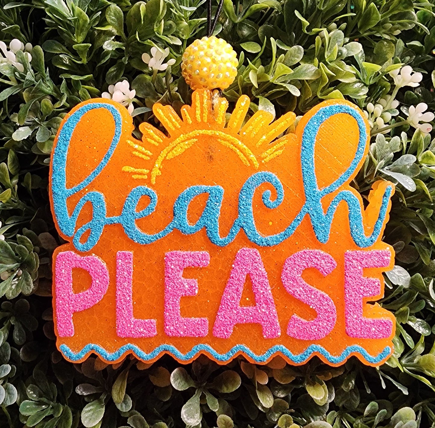 Beach Please Freshie, Beach Please Freshy