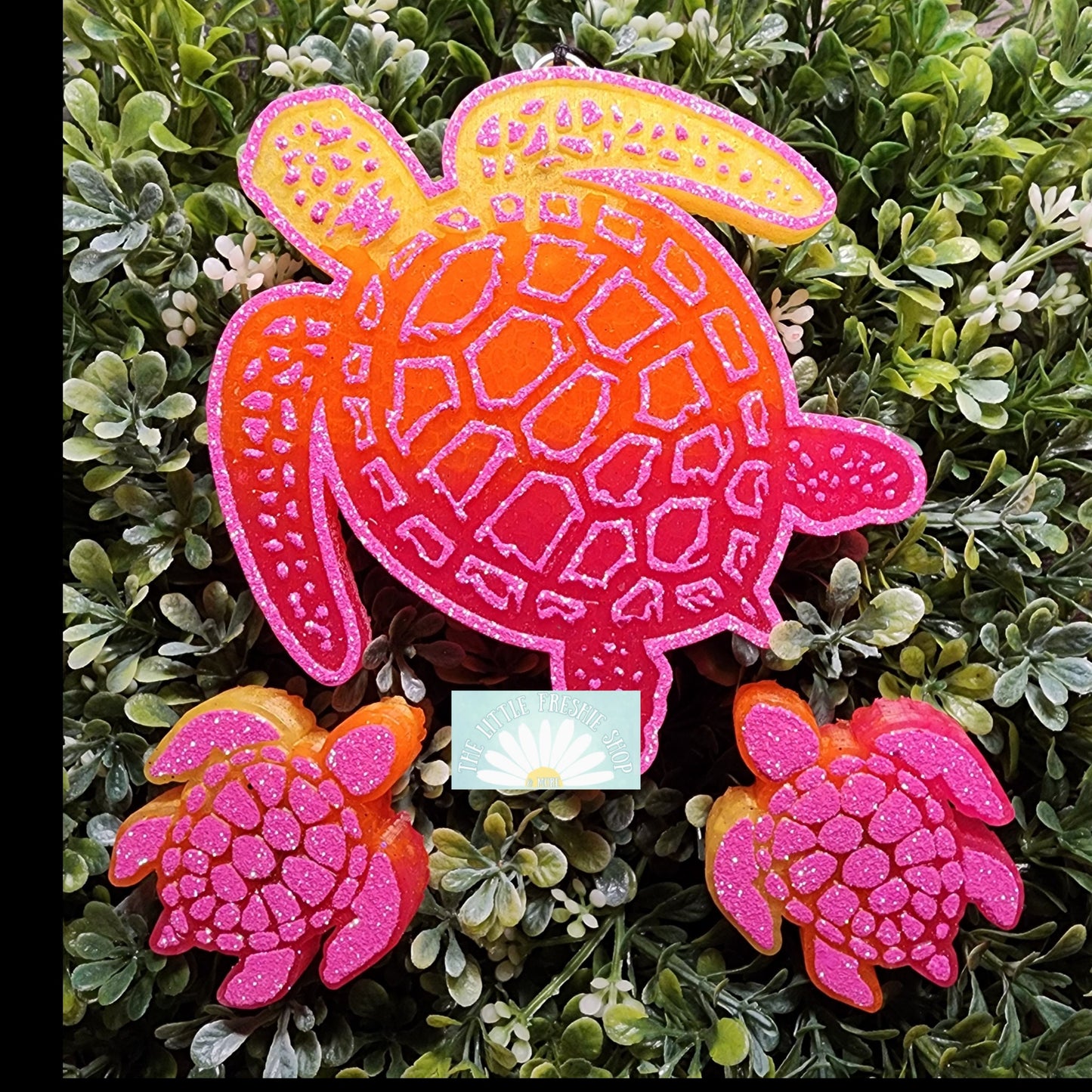 Sea Turtle Freshie