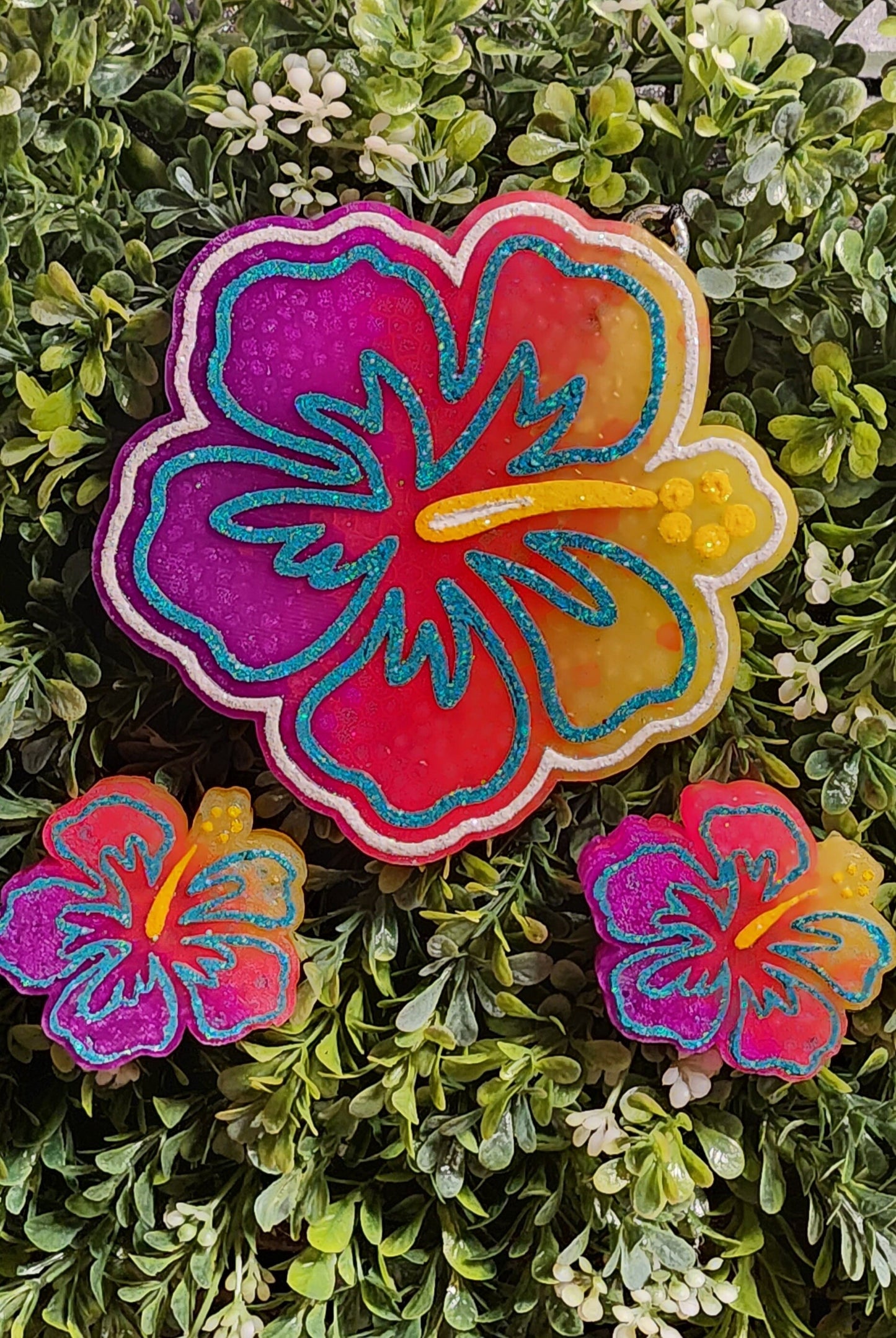 Hibiscus Freshie, Hibiscus Gifts