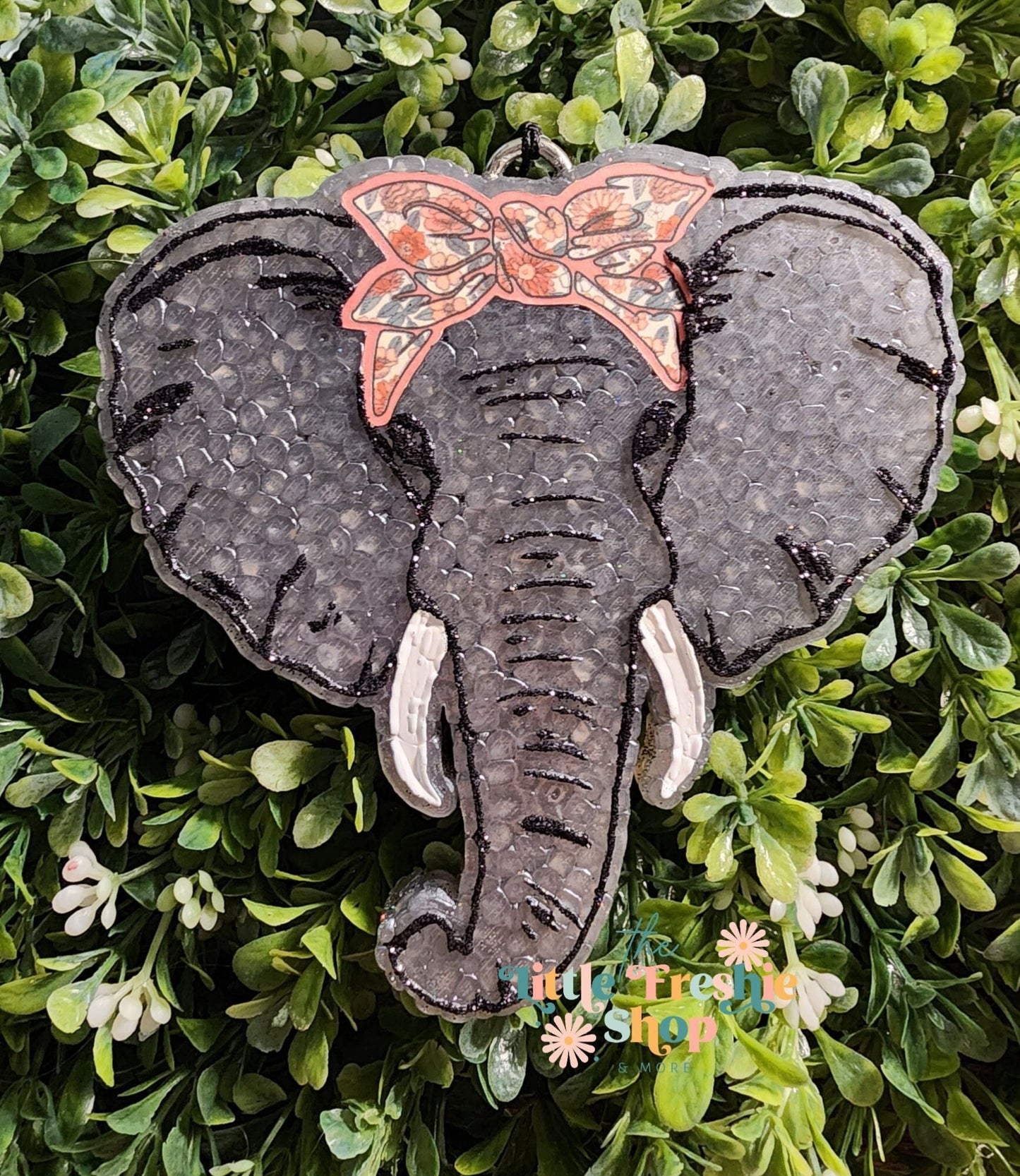 Elephant Freshy