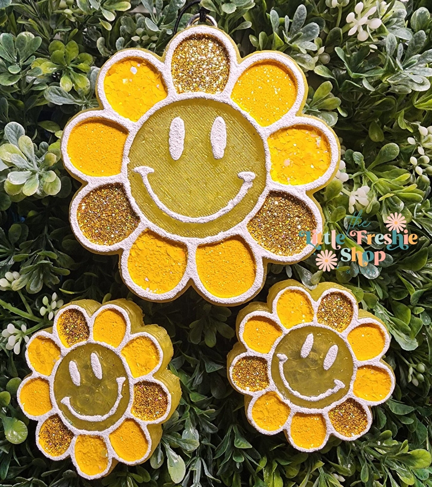 Smiley Daisy Freshie, Smiley Daisy Freshy