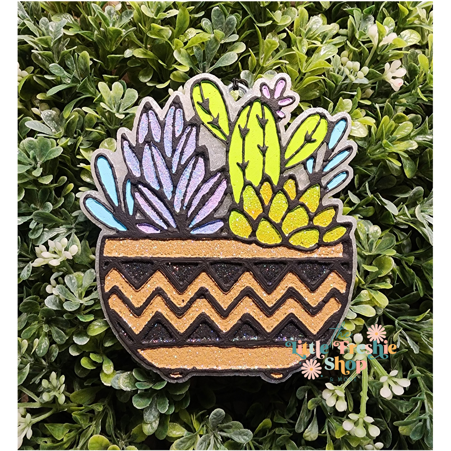 Succulent Freshy, Succulent Freshie
