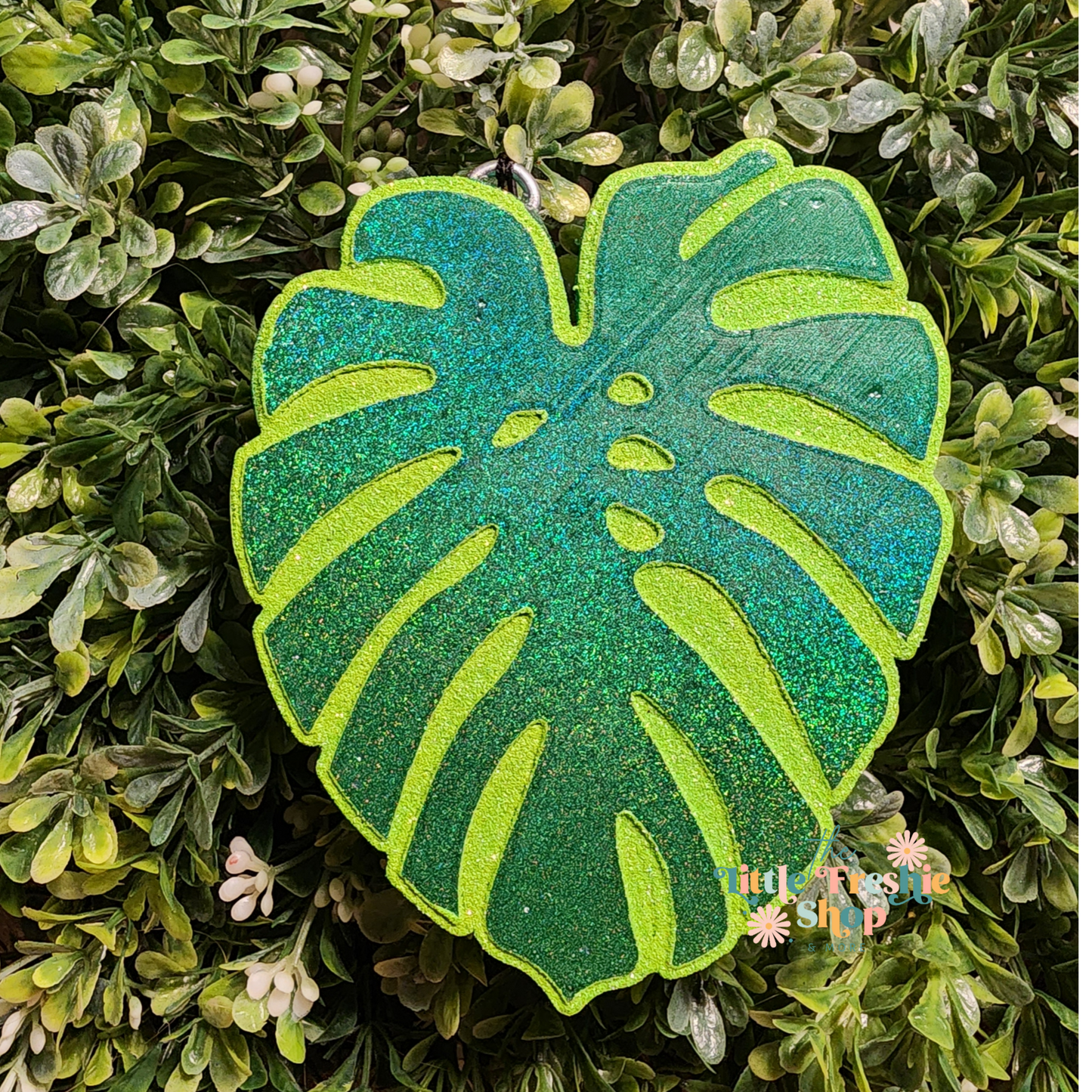 Monstera Leaf Freshy