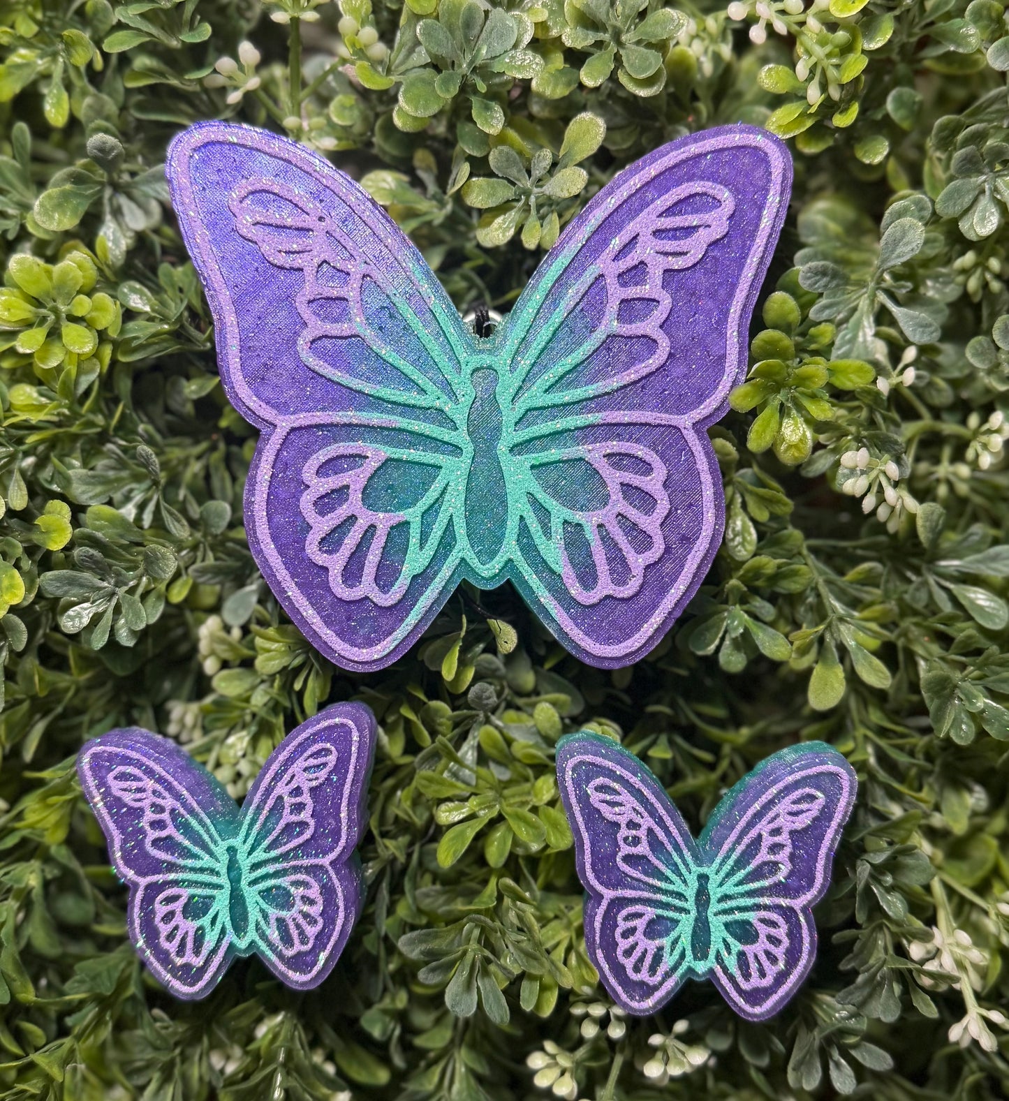 Butterfly Freshies, Butterfly Freshy