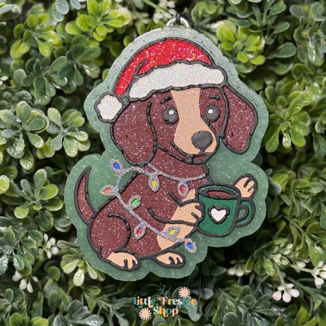 Dachshund Freshie