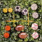 Sports Ball Vent Clip Freshie, Soccer, Basketball, Football, Volleyball, Softball, Baseball